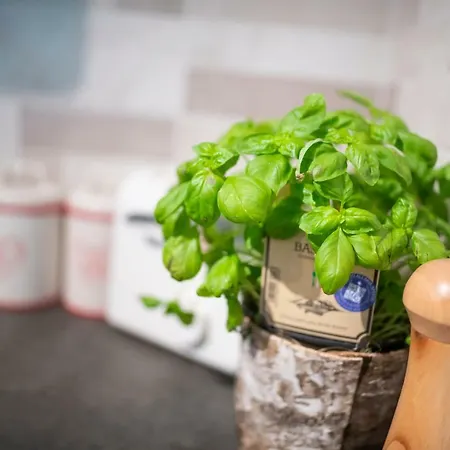 Hisa Urska Log pod Mangartom