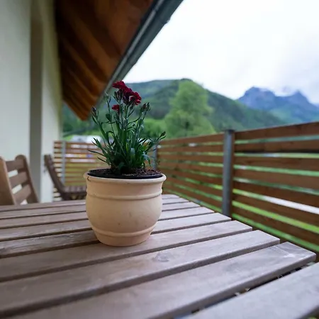 Apartment Hisa Urska