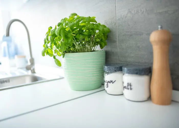 Hisa Urska * 罗格坡曼戈唐