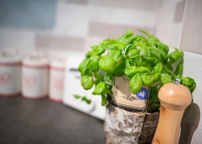 Hisa Urska Log pod Mangartom